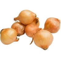 A188385 articul-A188385