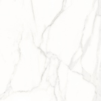 articul-A224479