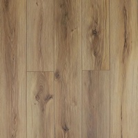 articul-A243902