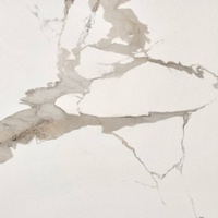 articul-A251611