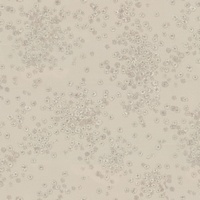 articul-A277754