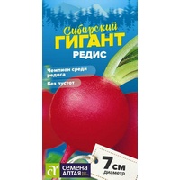 articul-A291505