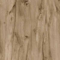 articul-A292853