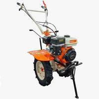 articul-A293208