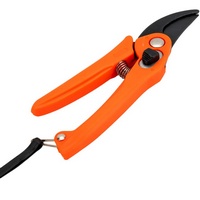articul-A296830