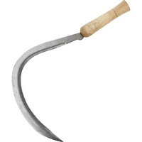articul-A304773
