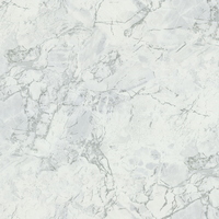 articul-A305743
