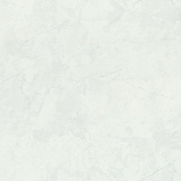 articul-A305745