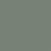 articul-A343858
