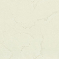 articul-A349552