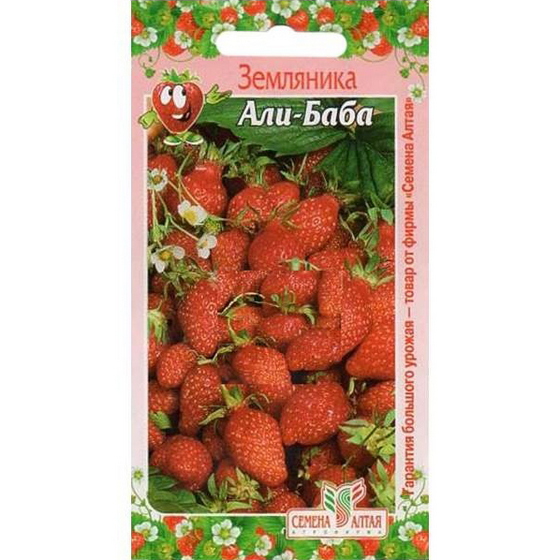articul-A177602